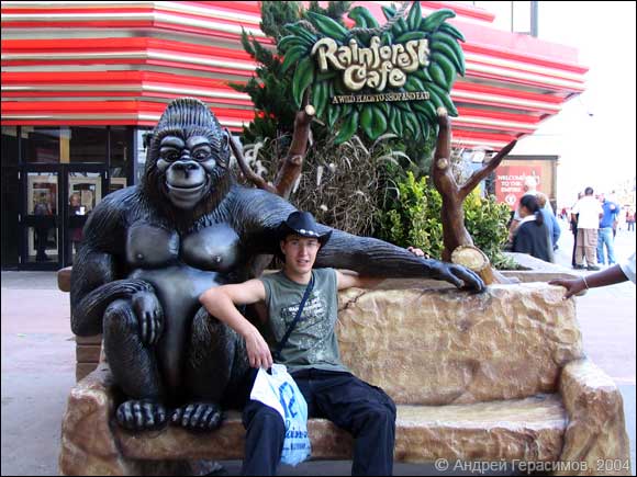Rainforest Cafe