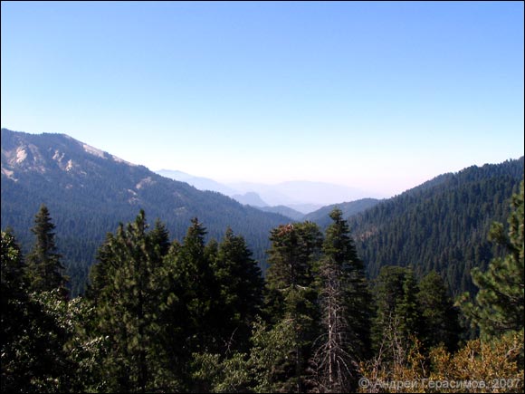 Kings Canyon National Park