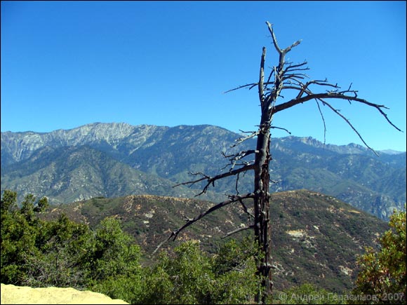 Kings Canyon National Park