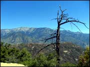 Kings Canyon National Park