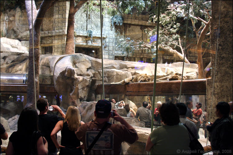 ���� �&nbsp;������ &laquo;MGM Grand&raquo;