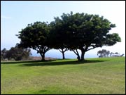 ������� ����� Pepperdine University