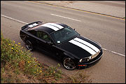 Racing Stripes
