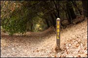 Trail