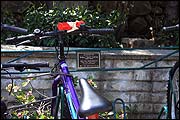 ������������ �����