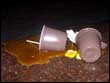 Lipton Ice Tea