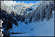 Mt. Baldy