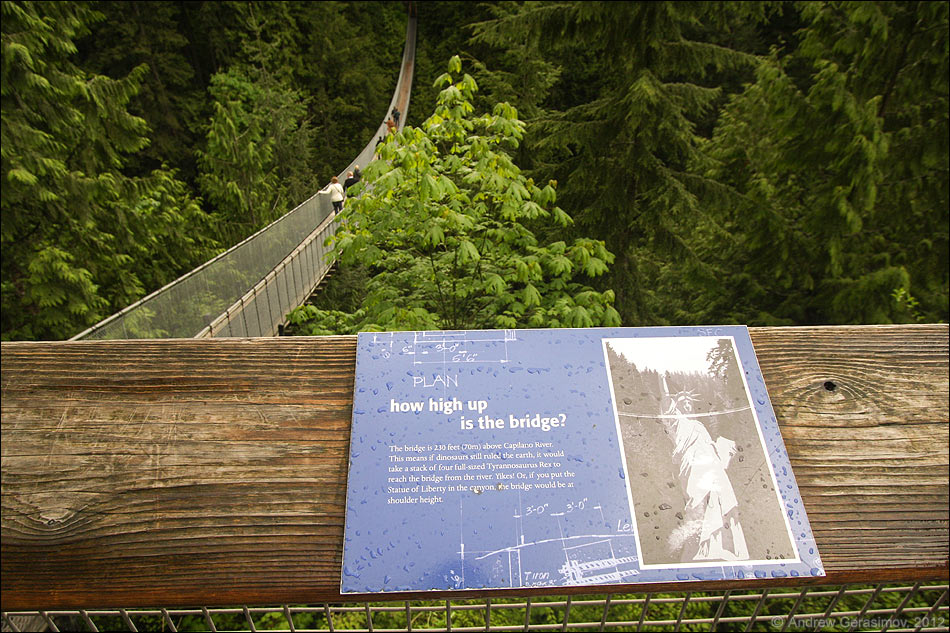 ��������� �����