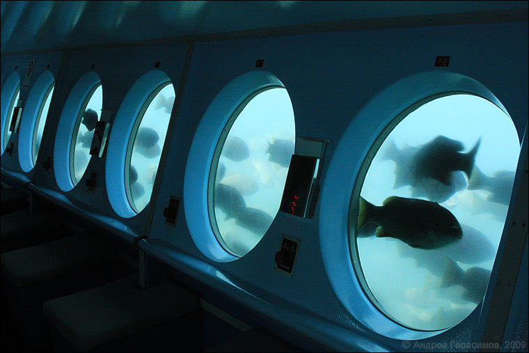 ��������� �� &laquo;���������&raquo;