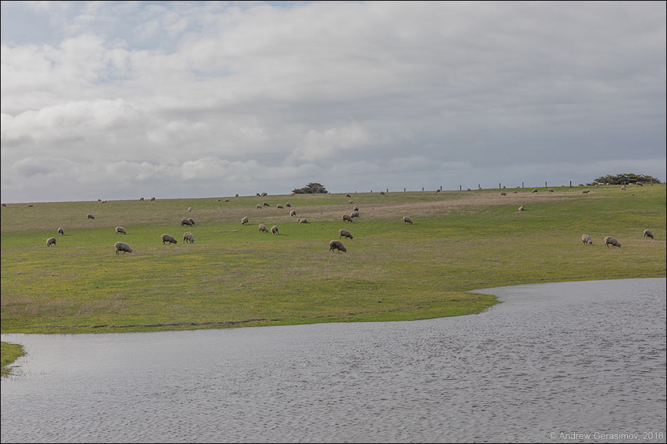 ������������� �������