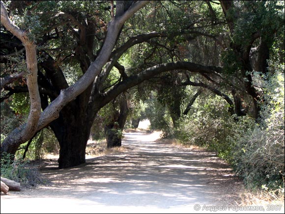 Malibu Creek State Park