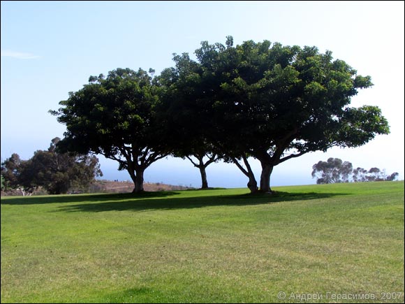 ������� ����� Pepperdine University