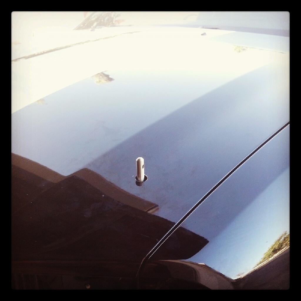 ��������� Hood Pins