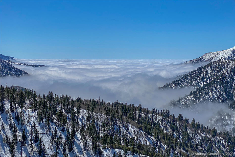 ��� ��������