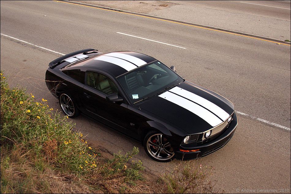 Racing Stripes