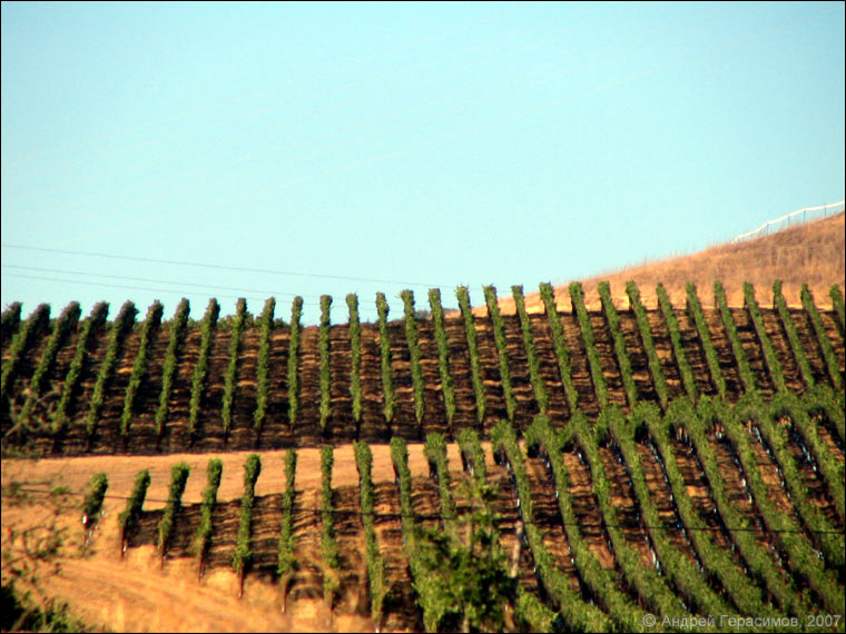 ������ ����