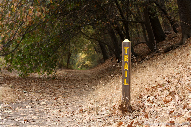 Trail