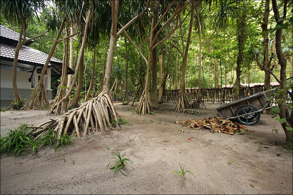 ������ ����