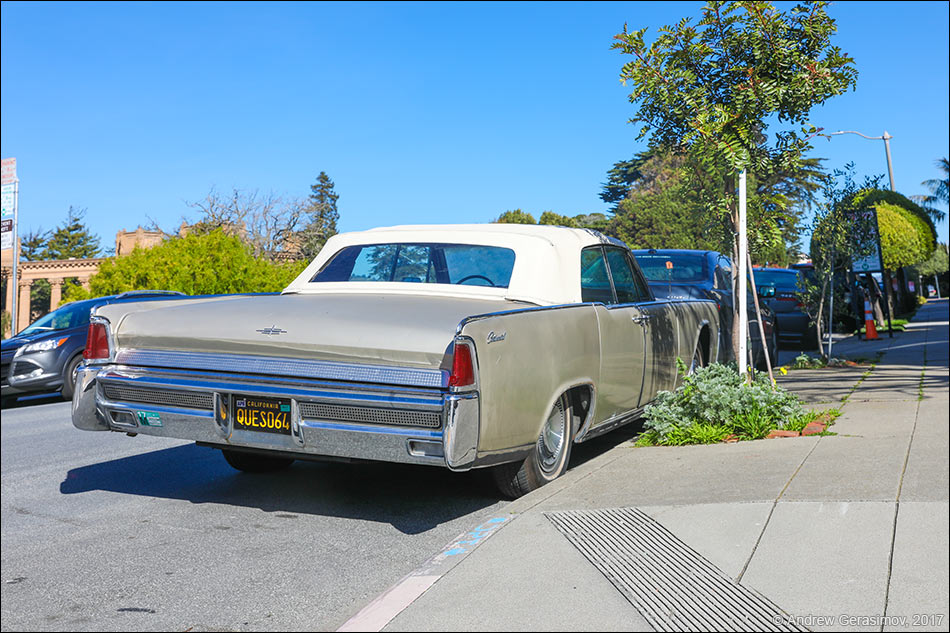 �������� ����������� 1964