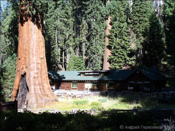 Sequoia National Park