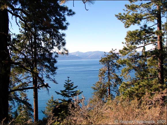 ����� ����