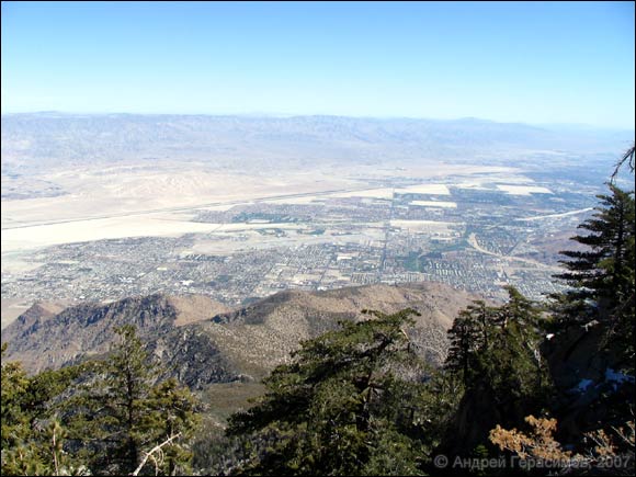 Palm Springs