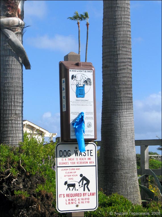Dog Waste