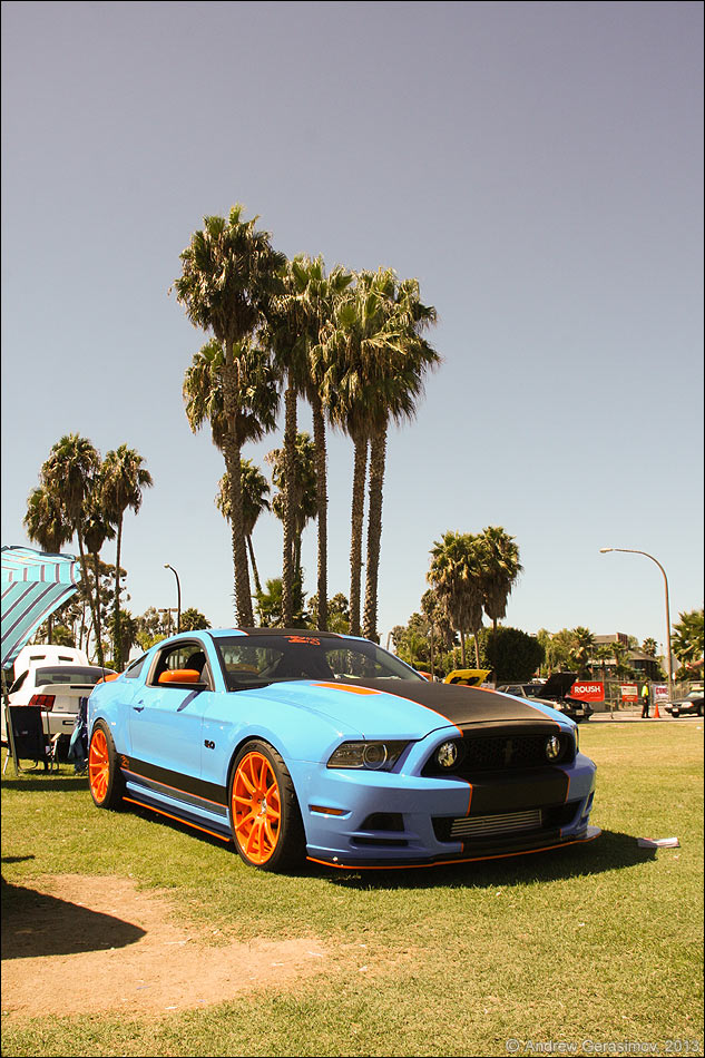 �������� ��������� 2013