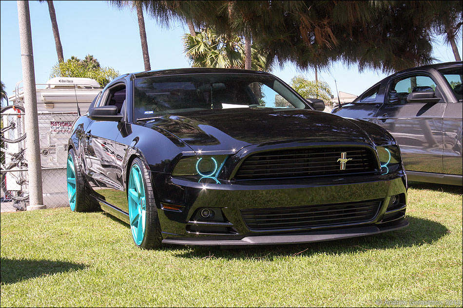 �������� ��������� 2013