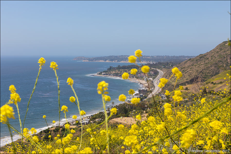Corral Canyon Park