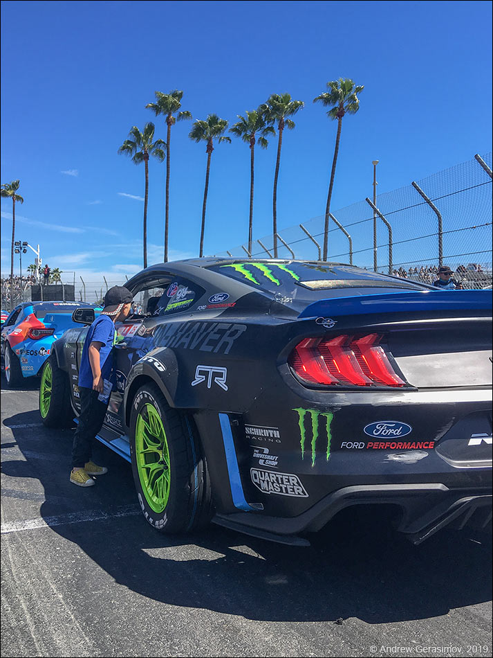 �������-����� ����-��� 2019