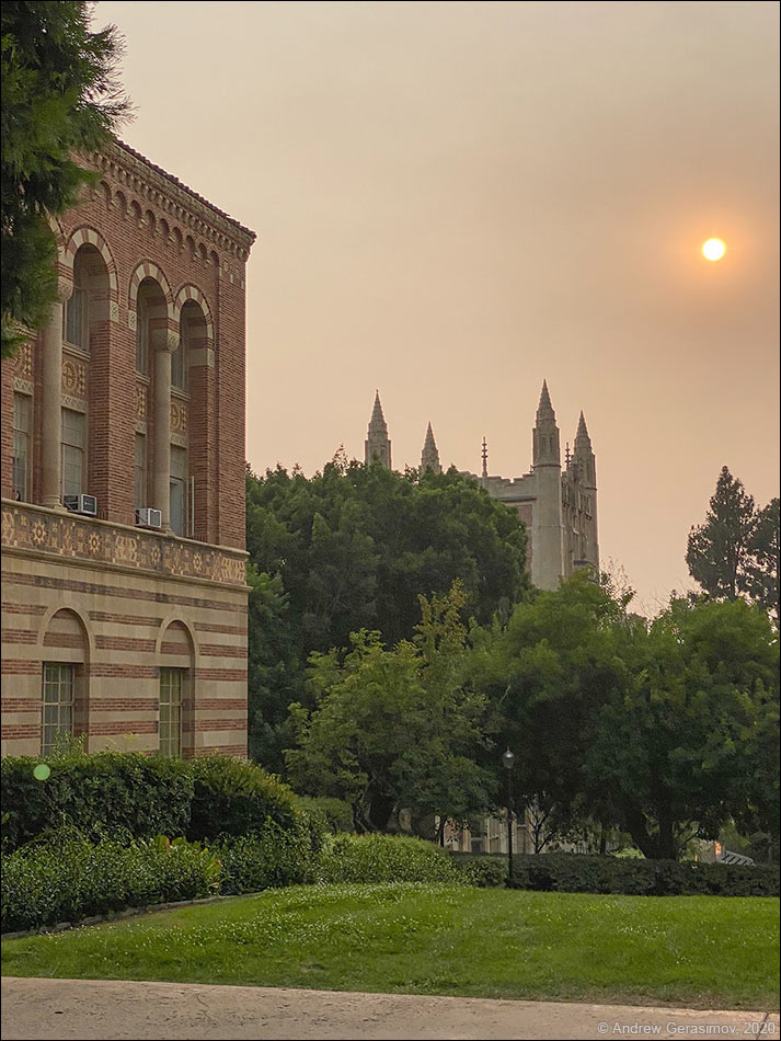 ������ UCLA